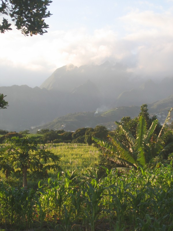 montrer un paysage de La Réunion